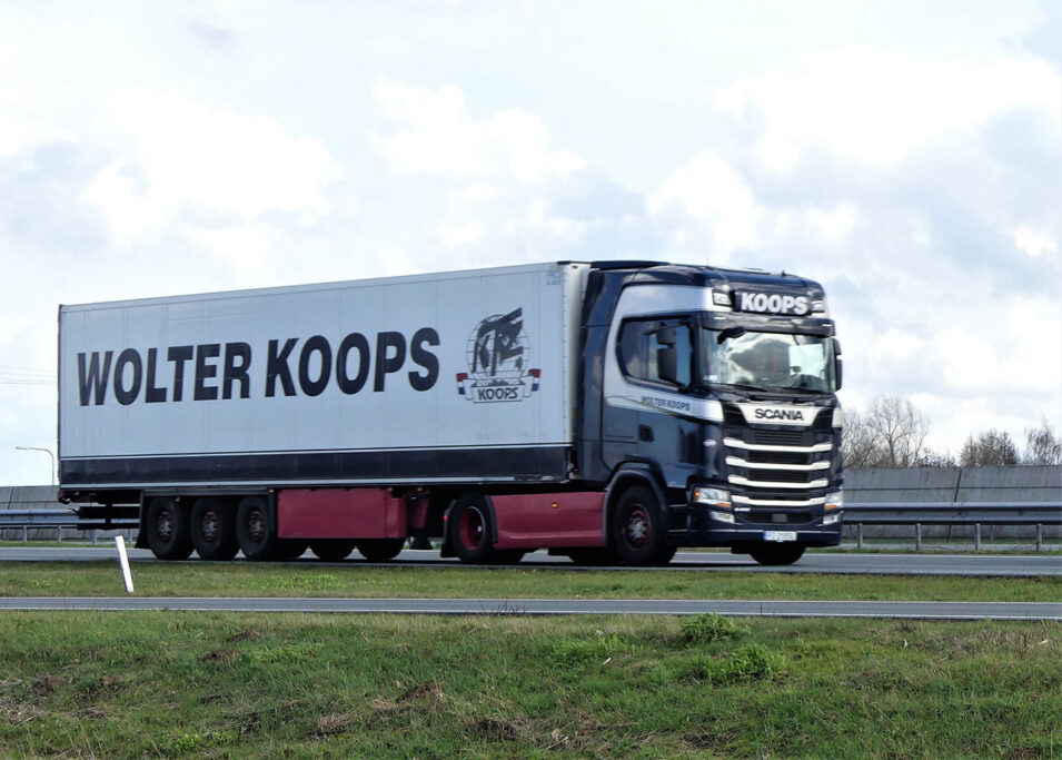 WOLTER KOOPS WOLTER KOOPS