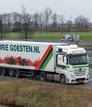 HARRIE GOESTEN