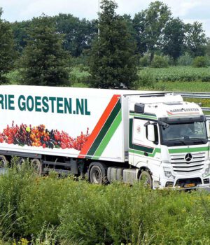 HARRIE GOESTEN