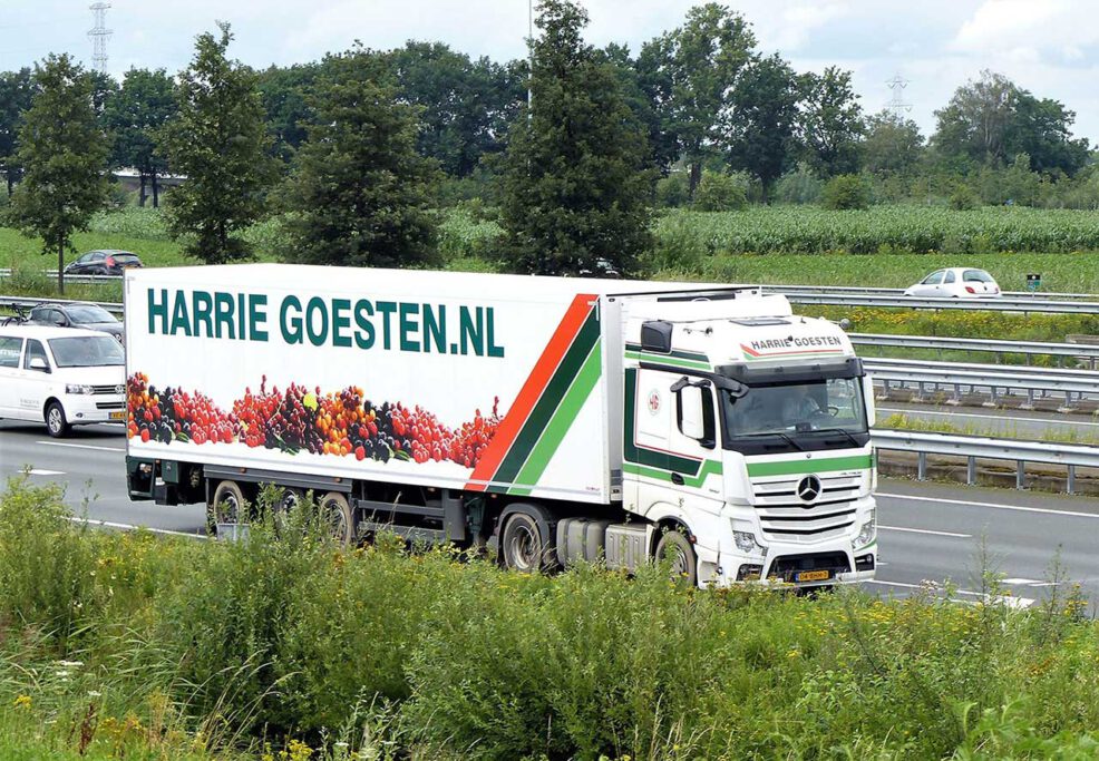 HARRIE GOESTEN