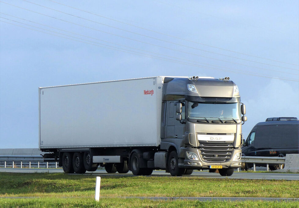 NEDCARGO