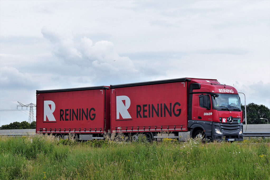 REINING