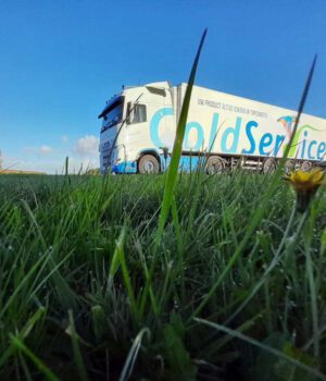 Coldservice
