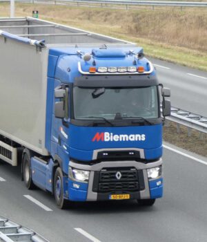 M Biemans