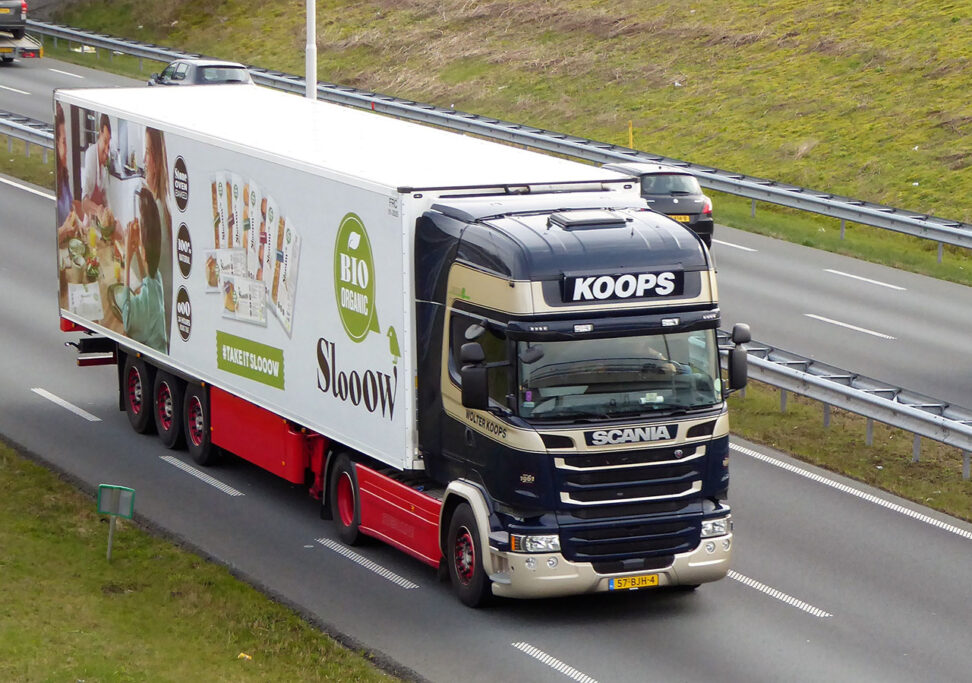 WOLTER KOOPS WOLTER KOOPS