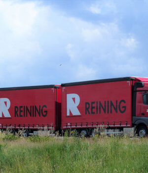 REINING