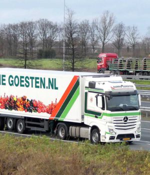 HARRIE GOESTEN
