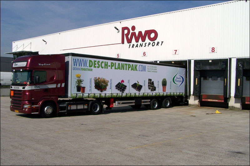 Dick de Jong Dick de Jong