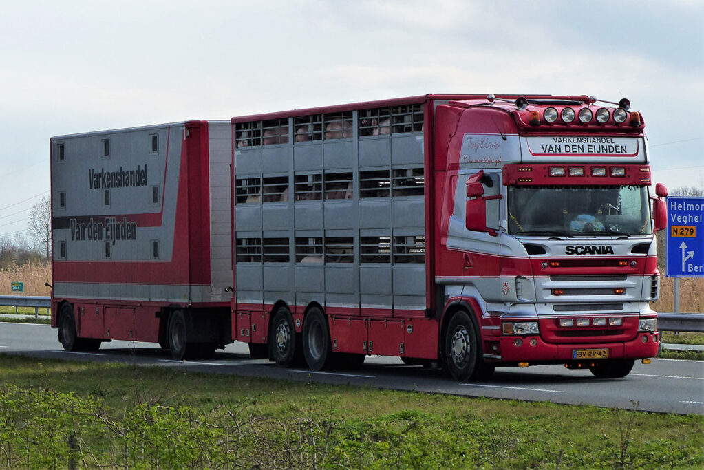 VAN DEN EIJNDEN VAN DEN EIJNDEN