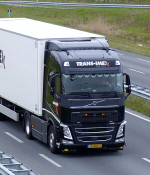 TRANS-IMEX