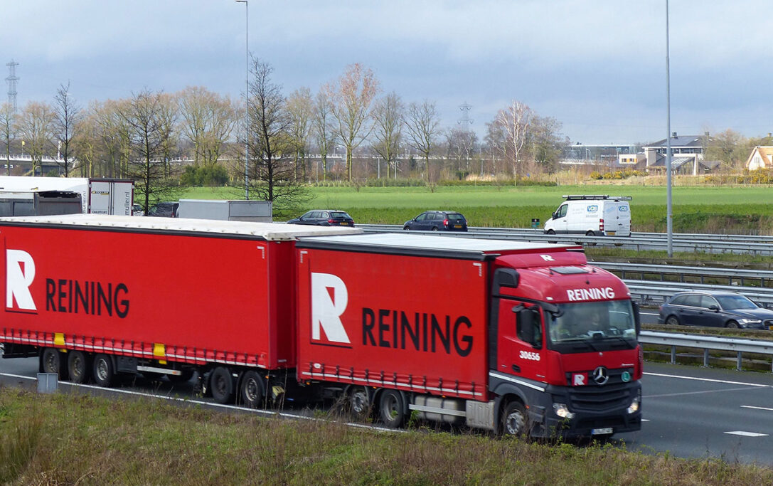 REINING