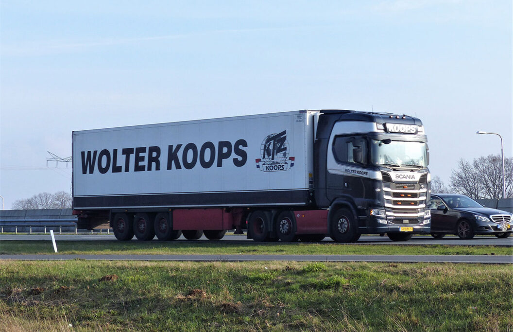 WOLTER KOOPS WOLTER KOOPS