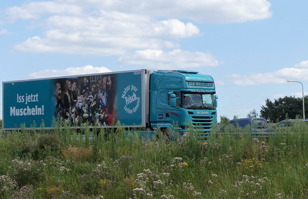 DE KOEIJER DE KOEIJER