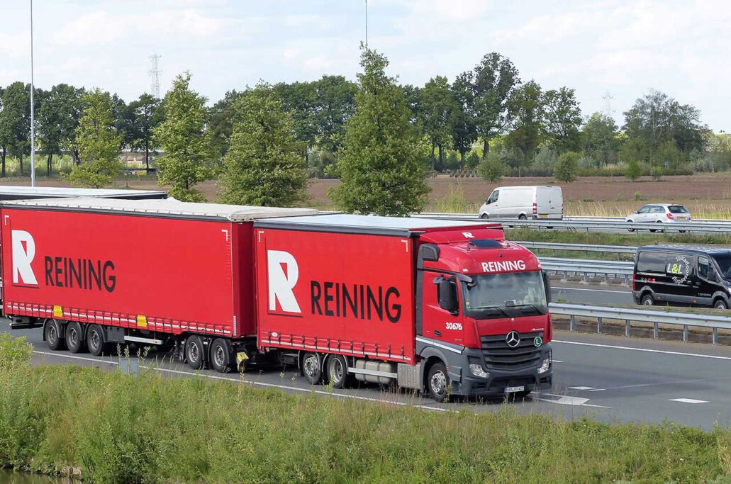REINING
