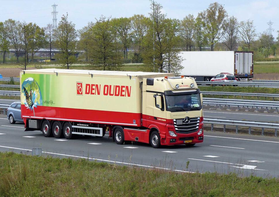 DEN OUDEN