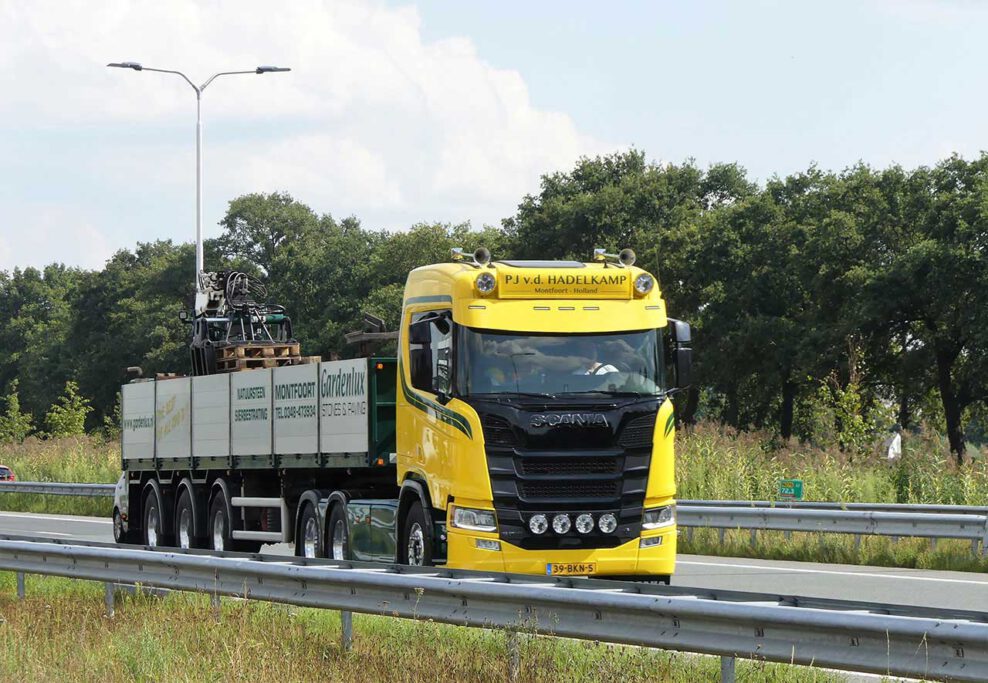 P J v.d.HADELKAMP P J v.d.HADELKAMP