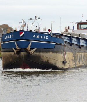 AMARE