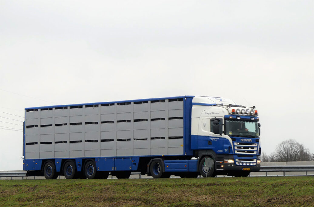 GLOUDEMANS GLOUDEMANS