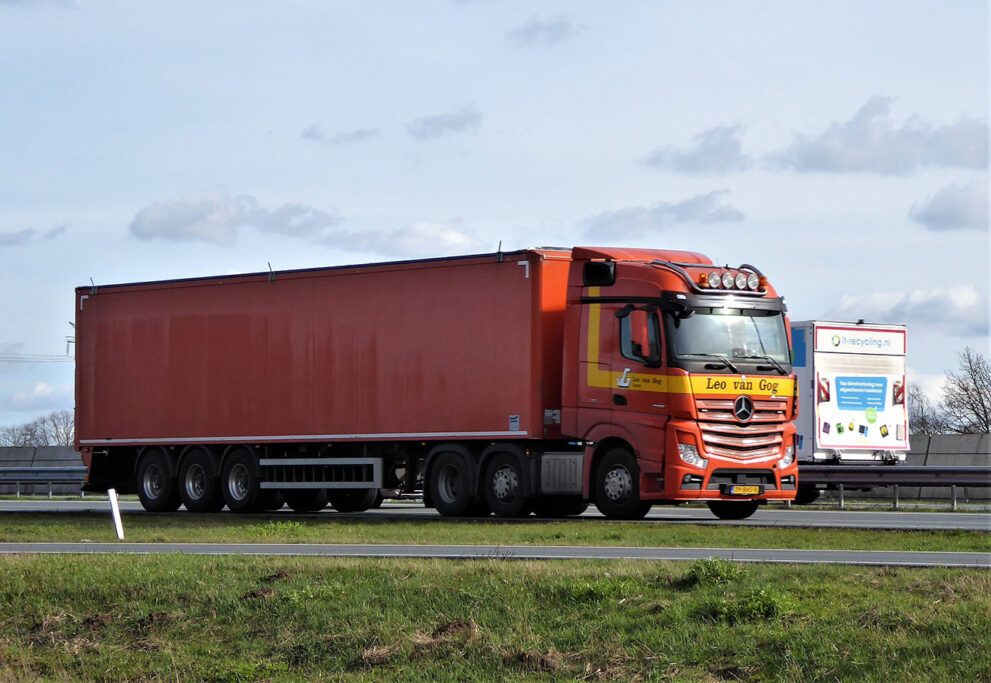 LEO van GOG LEO van GOG