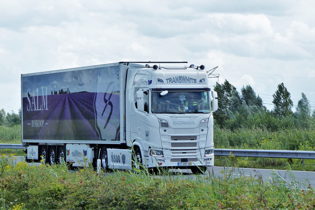 TRANSWHITE TRANSWHITE