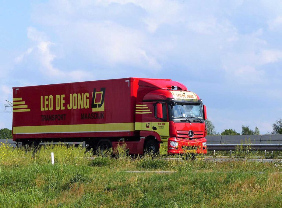 LEO DE JONG