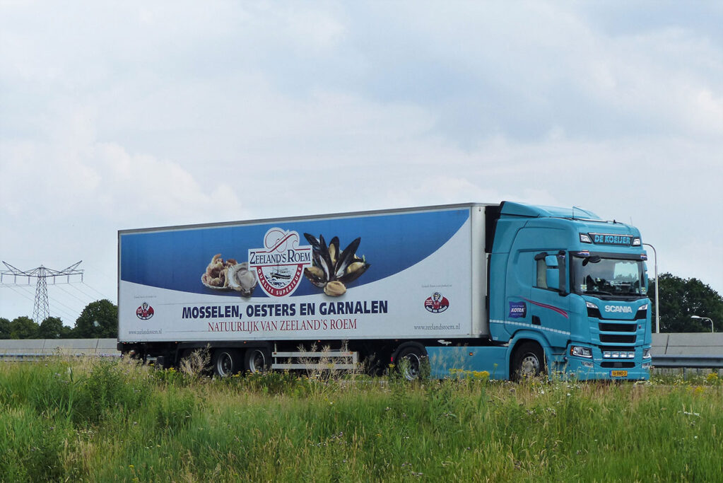 DE KOEIJER DE KOEIJER