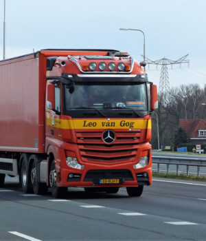 Leo van Gog