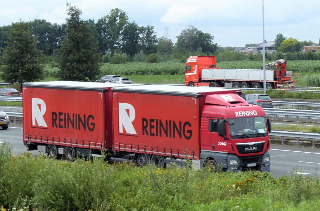 REINING