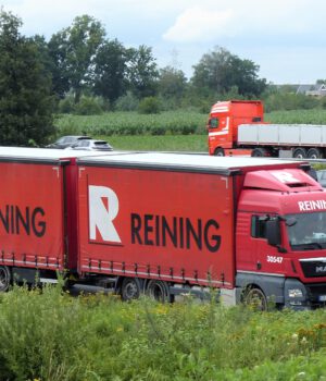 REINING