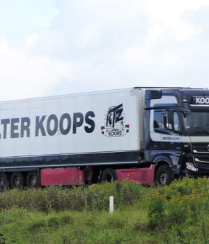 Wolter Koops