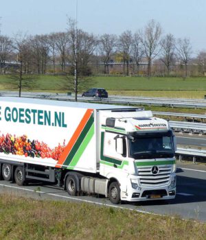 HARRIE GOESTEN