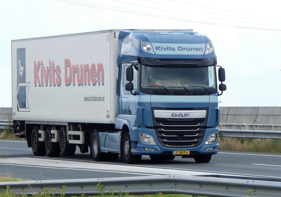 Kivits