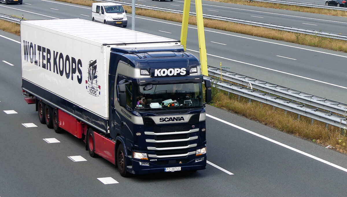 WOLTER KOOPS WOLTER KOOPS