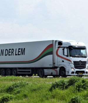 VAN DER LEM