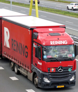 REINING