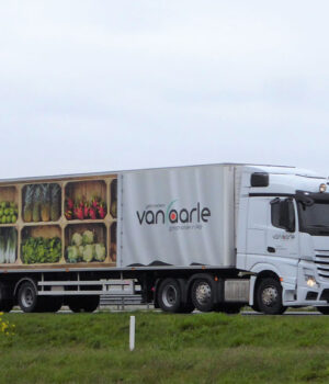 van aarle