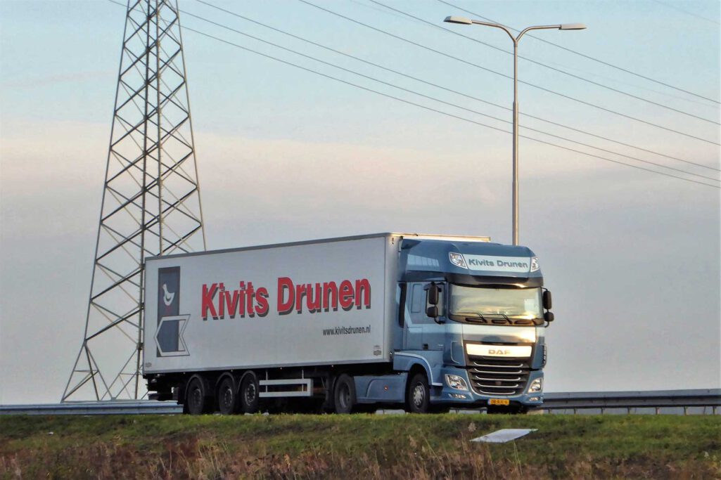 KIVITS.