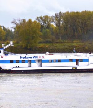 HERKULES VIII