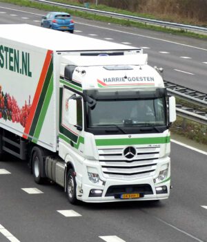 HARRIE GOESTEN