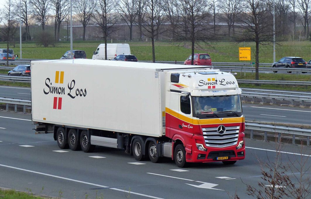 SIMON LOOS