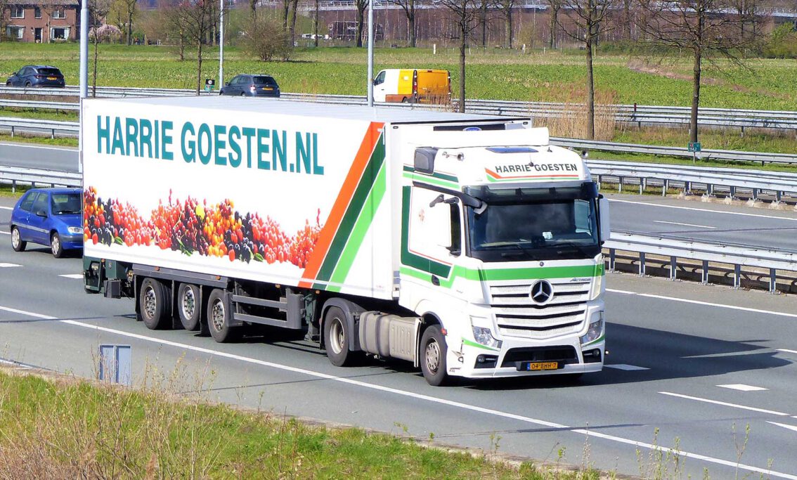 HARRIE GOESTEN