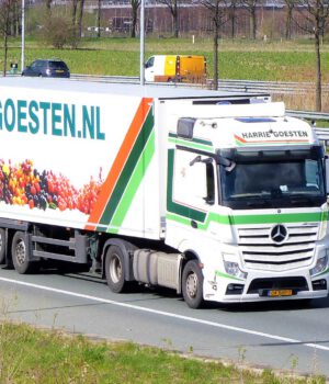 HARRIE GOESTEN