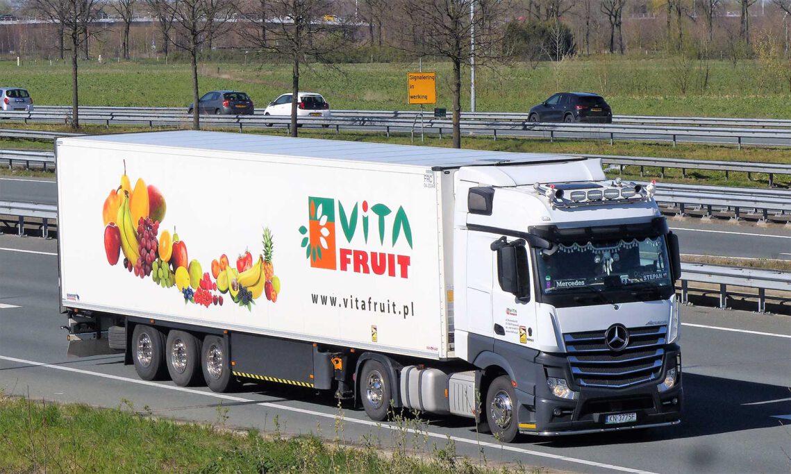VITA FRUIT