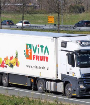 VITA FRUIT