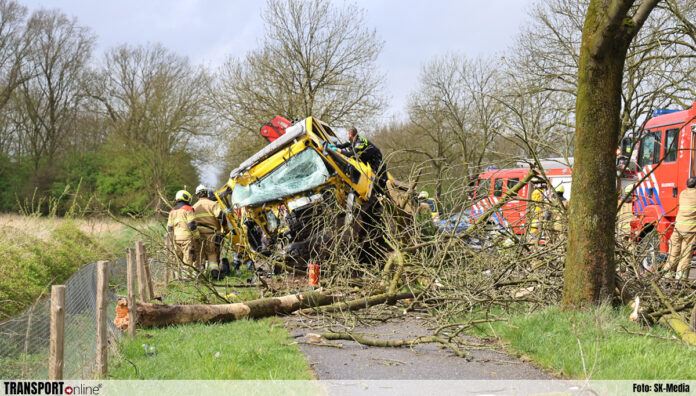 Vrachtwagen rijdt tegen bomen op N321