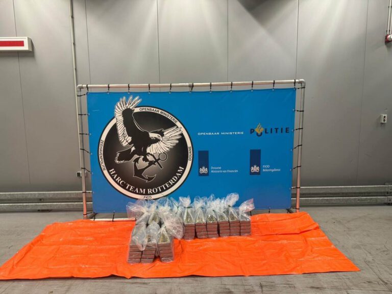 Cocaïne met een straatwaarde van bijna 10 miljoen euro gevonden tussen lading avocado’s