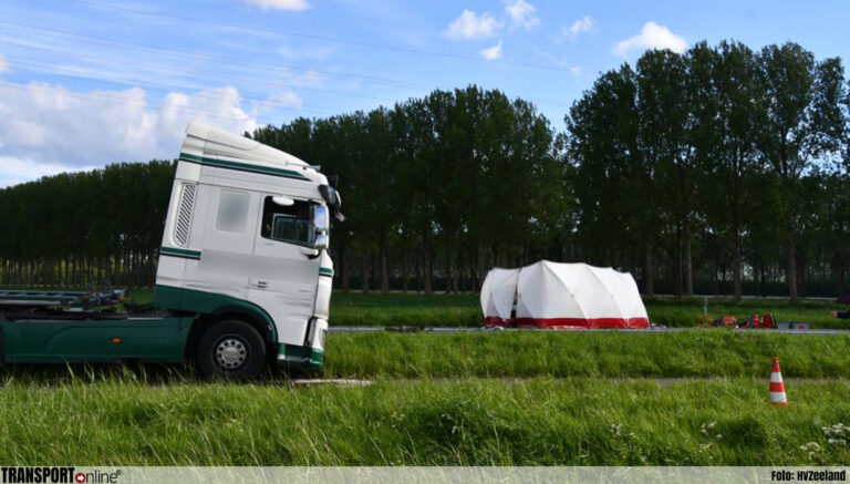 Automobiliste om het leven gekomen na aanrijding met vrachtwagen op N258 [+foto]