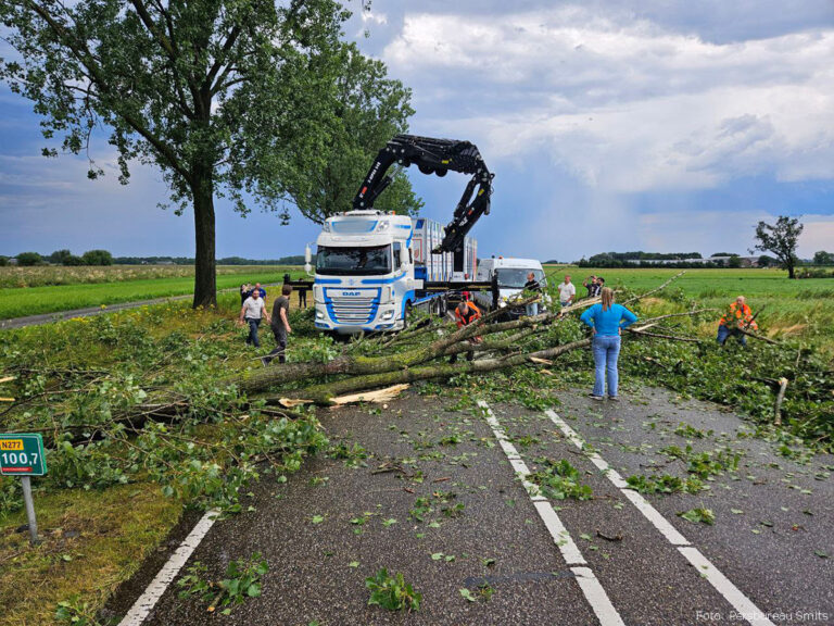 N277 volledig versperd door omgewaaide bomen [+foto]