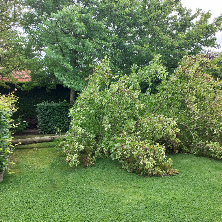 Op verschillende plekken in Nederland gewonden door harde wind
