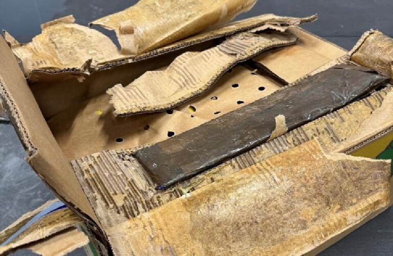 Douane stuit op 317 kilo cocaïne in bodems bananendozen